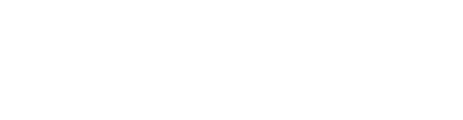 Health & Care Concept Inc official white logo